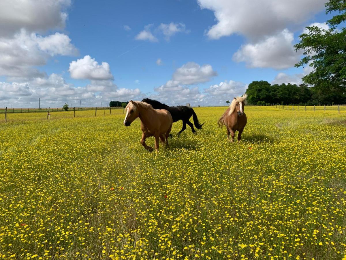 Mobilhome Sous Chalet En Bois A La Ferme Josnes Exteriér fotografie